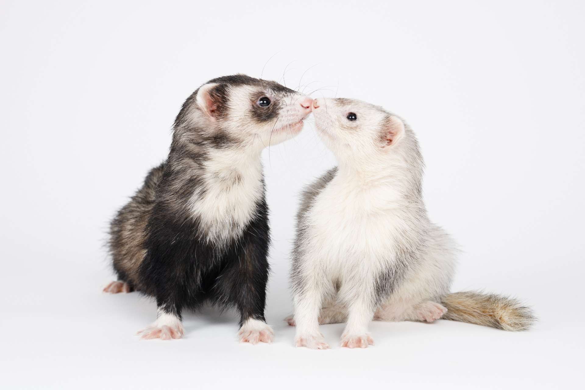 It's a Great Way to Start the Day