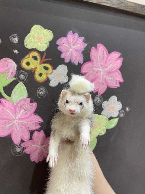 We've just jumped into the water!